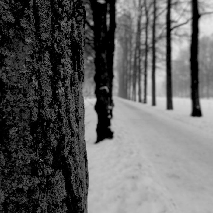 Finding Way