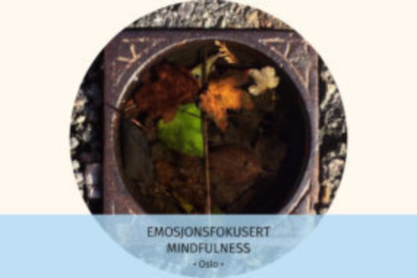 Emosjonsfokusert mindfulness 1