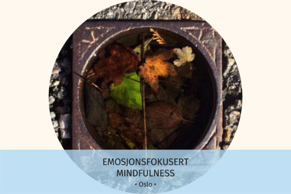 Emosjonsfokusert mindfulness