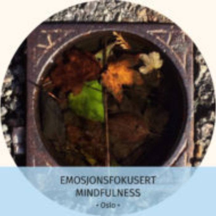 Emosjonsfokusert mindfulness 1