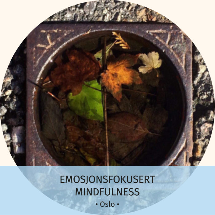 Emosjonsfokusert mindfulness